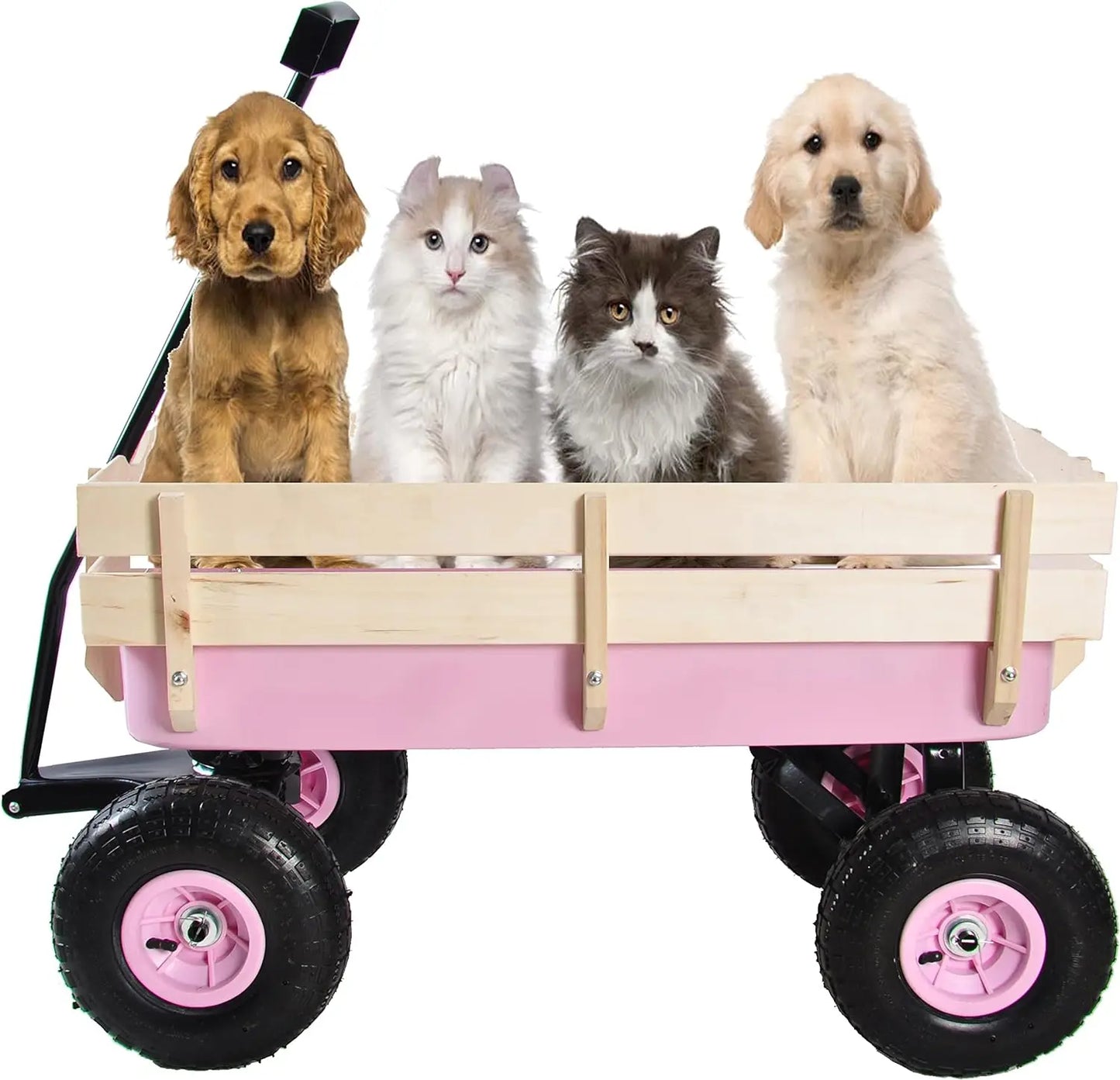 Outdoor Sporty Pink and Blooming Blue Wagon
